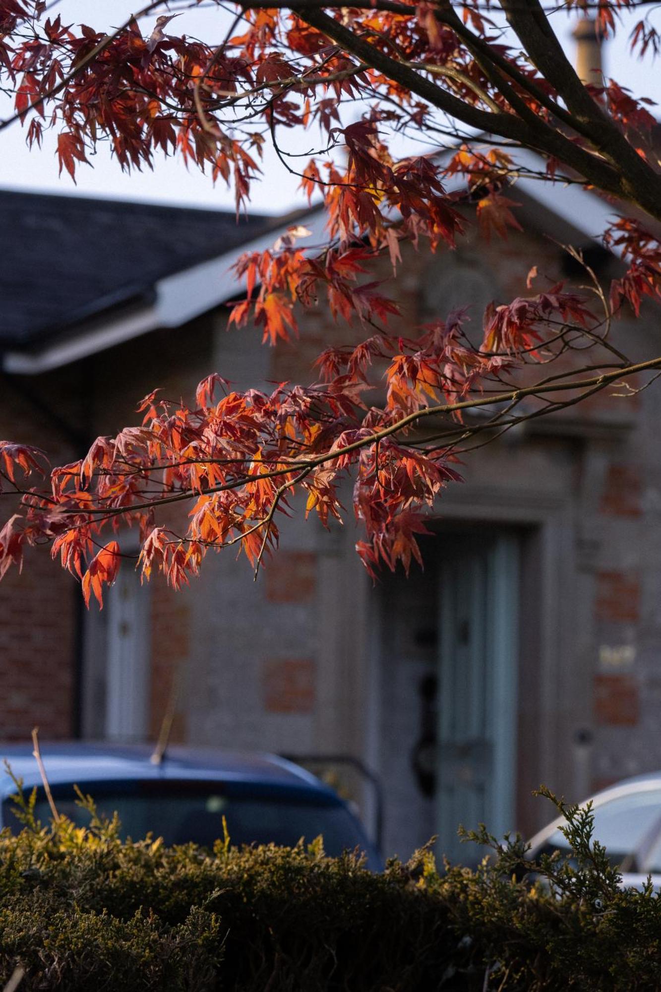 Oranmore Ballymena Extérieur photo